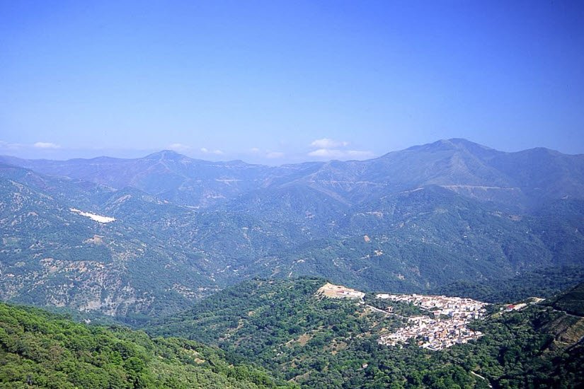 Paraje Natural Los Reales de Sierra Bermeja, Estepona, Spain, Spain